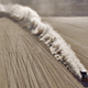 Illustration for article titled The Ten Toughest Motor Races In The World